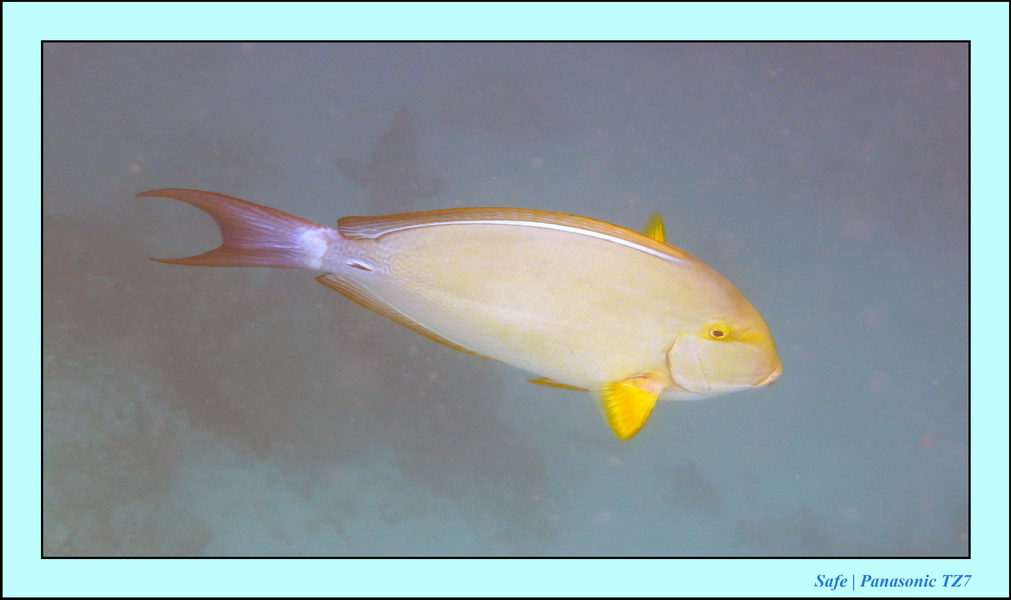 2009   07   Matakin 24